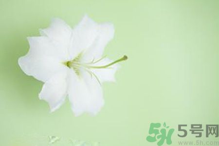 春季咳嗽怎么辦？春季咳嗽吃什么好？