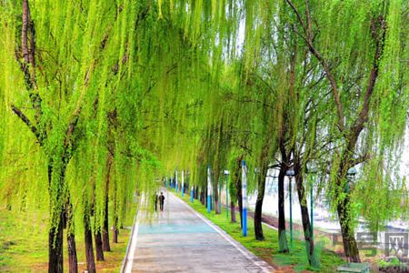 春天適合什么運動？春天做什么運動好？