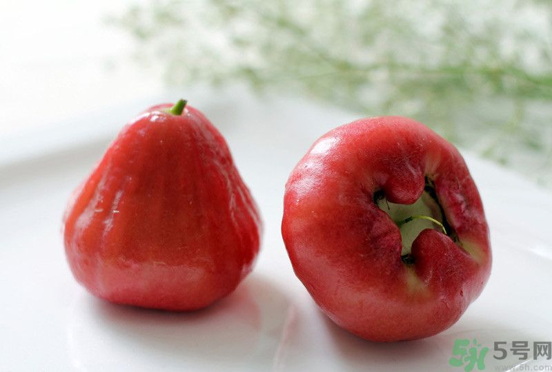 蓮霧皮能吃嗎？蓮霧要不要削皮？