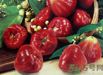 蓮霧糖尿病人能吃嗎？糖尿病可以吃蓮霧嗎？