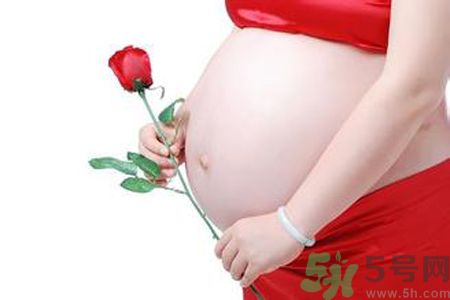 孕婦可以吃枸杞嗎？孕婦吃枸杞好嗎？