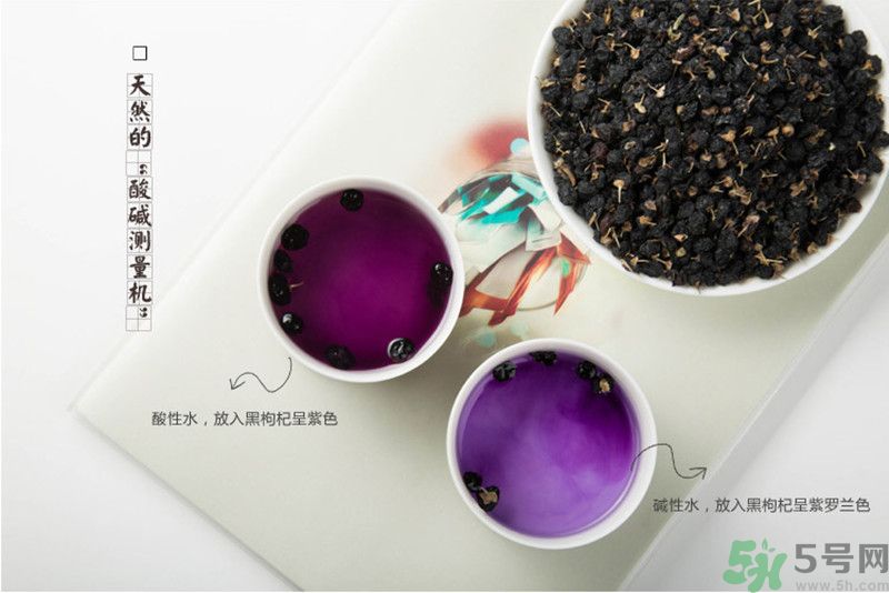 黑枸杞有什么功效？黑枸杞的好處有哪些？