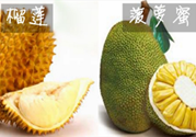 菠蘿蜜和榴蓮的區(qū)別,菠蘿蜜和榴蓮哪個好吃