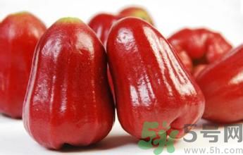 蓮霧是熱性還是涼性水果？蓮霧是寒性水果嗎？