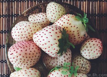 澳洲新型草莓已上市 澳洲新型草莓安全嗎？