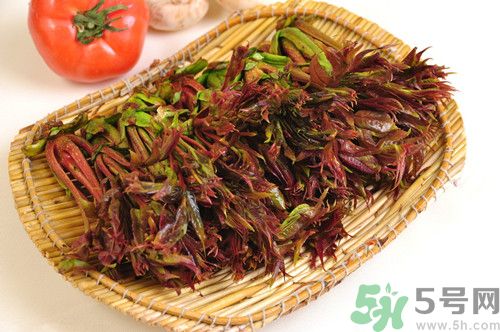 香椿孕婦能吃嗎?孕婦吃香椿會(huì)營(yíng)養(yǎng)胎兒?jiǎn)? alt=