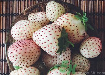 菠蘿莓好吃嗎？菠蘿莓好不好吃？