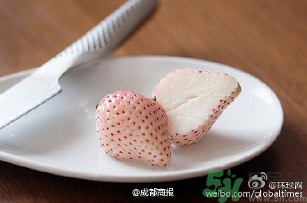 菠蘿莓好吃嗎？菠蘿莓好不好吃？