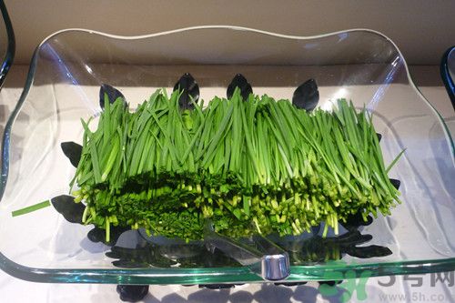 香椿和韭菜能一起吃嗎?和韭菜一起吃有什么功效 香椿和韭菜能一起吃嗎?和韭菜一起吃有什么功效