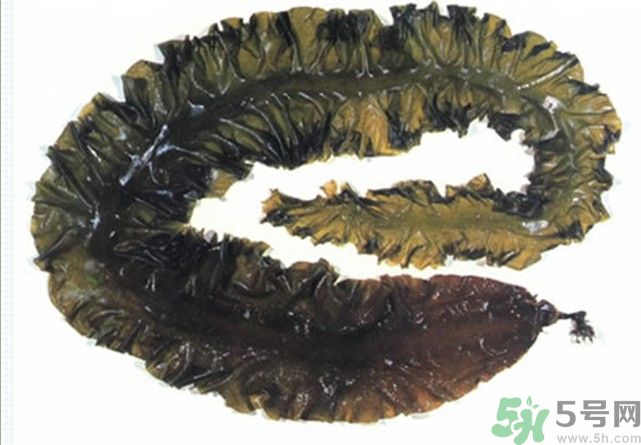 海帶用冷水泡還是熱水泡發(fā)？海帶怎么泡才不會(huì)發(fā)硬？