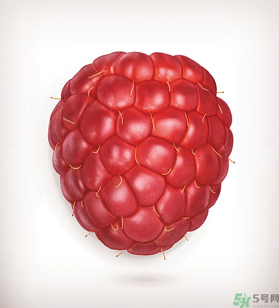 桑葚孕婦可以吃嗎？孕婦能不能吃桑葚？