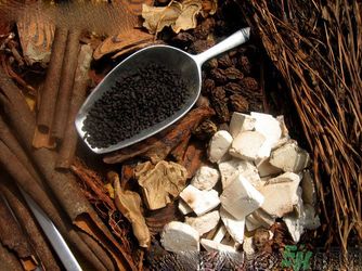 胃潰瘍吃什么藥？調(diào)理胃潰瘍的藥有哪些？