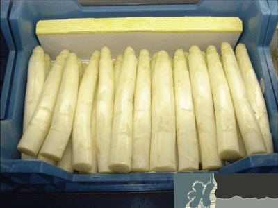 吃蘆筍注意事項有哪些？蘆筍有什么藥用功效？