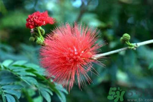 男性春季養(yǎng)生吃什么？男性春季養(yǎng)生的方法有哪些？