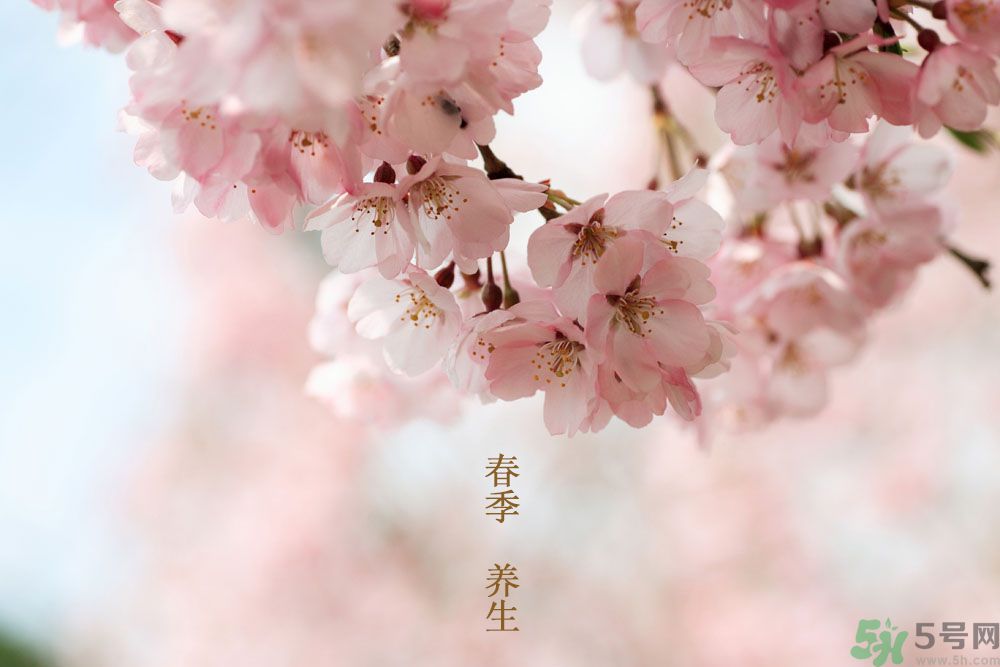 女性春季養(yǎng)生吃什么？女性春季怎么養(yǎng)生？