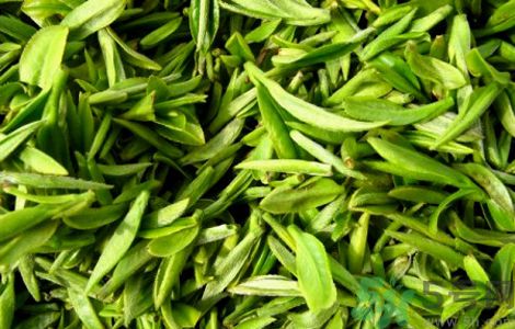 清明茶是什么茶?清明茶的的功效與作用 清明茶是什么茶?清明茶的的功效與作用