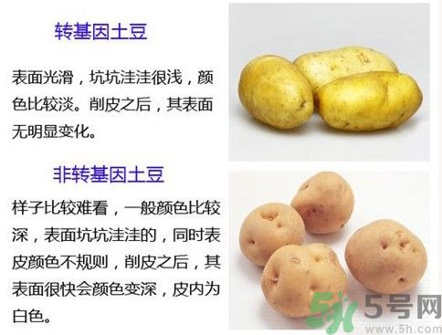 土豆變綠還能吃嗎？土豆變綠有什么危害？