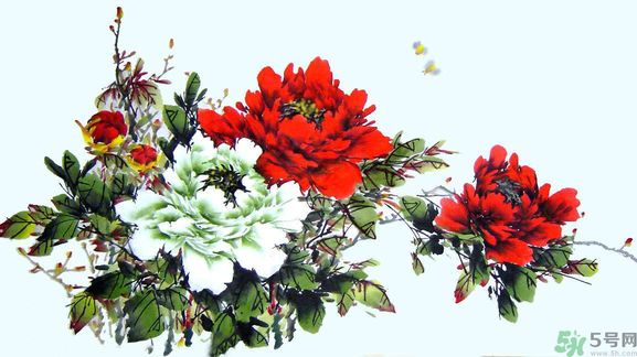 牡丹的花語是什么？牡丹的寓意是什么？