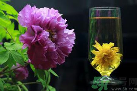 牡丹花可以和菊花一起泡嗎？牡丹花和菊花一起泡茶好嗎？