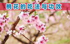 2018情人節(jié)怎么快速脫單？脫單法則之桃花手鏈