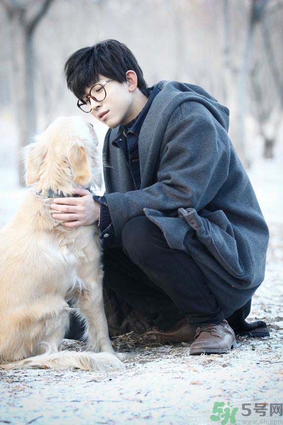 煙袋斜街10號什么時候上映？煙袋斜街10號講的什么？