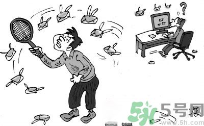 1分鐘被騙334萬(wàn) 釣魚(yú)郵件內(nèi)容是什么？