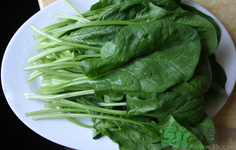 菠菜是回奶的嗎?菠菜是回奶的食物嗎?.png 菠菜是回奶的嗎?菠菜是回奶的食物嗎?.png