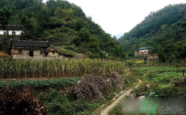 小鎮(zhèn)百人患?jí)m肺病的原因是什么？塵肺病是什么?。? width=