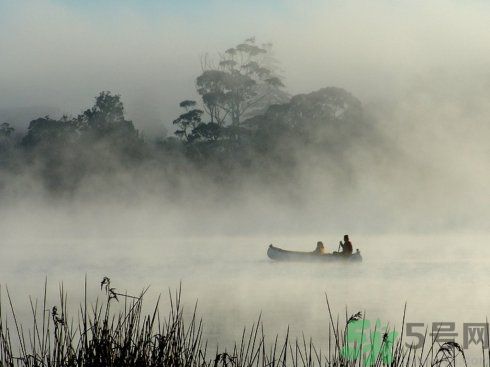 往同學保溫杯中倒墨汁 誤食墨水怎么辦？