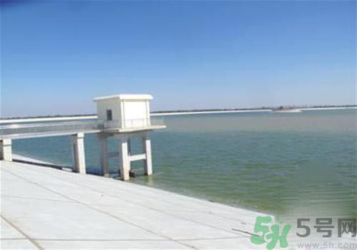 哪些地方的地下水不能飲用？為什么八成地下水不能飲用？