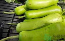 西葫蘆是轉(zhuǎn)基因的嗎?西葫蘆是轉(zhuǎn)基因的食物嗎?.png 西葫蘆是轉(zhuǎn)基因的嗎?西葫蘆是轉(zhuǎn)基因的食物嗎?.png