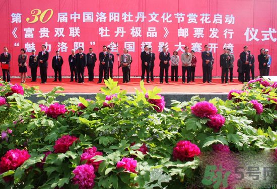 洛陽(yáng)牡丹文化節(jié)活動(dòng)有哪些？洛陽(yáng)牡丹文化節(jié)門(mén)票是多少？