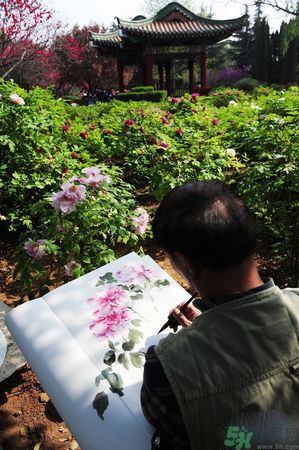 洛陽(yáng)牡丹文化節(jié)活動(dòng)有哪些？洛陽(yáng)牡丹文化節(jié)門(mén)票是多少？