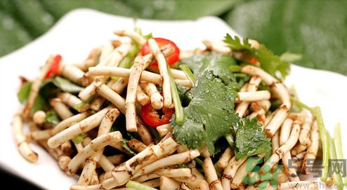 小孩子能喝魚腥草泡水嗎？小孩喝魚腥草泡水好嗎？