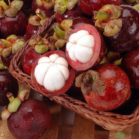 山竹可以和牛奶一起吃嗎？山竹和牛奶一起吃好嗎？