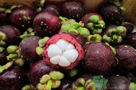 山竹可以和牛奶一起吃嗎？山竹和牛奶一起吃好嗎？