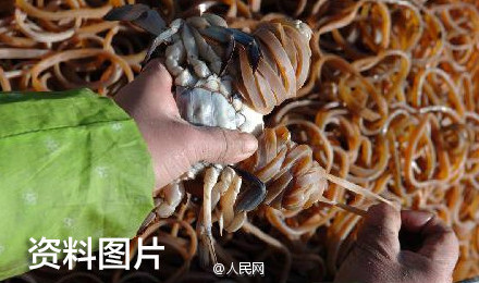 1460371307187122.jpg 884f7263jw1f2shghwf4yj20cb07aaba.jpg