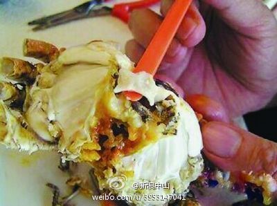 1460371493553274.jpg eba03ca1gw1elpo8w3h17j20b408agm2.jpg