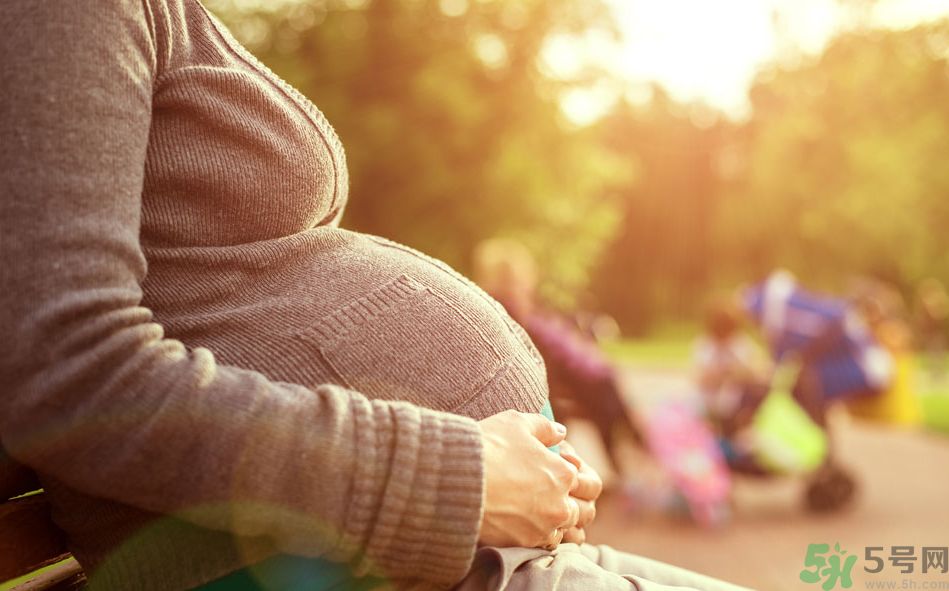 懷孕初期可以吃冬瓜嗎？懷孕初期吃冬瓜好嗎？