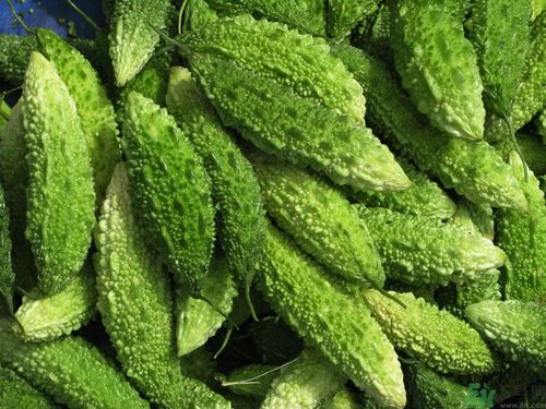 苦瓜和檸檬可以一起泡水喝嗎？苦瓜和檸檬泡水喝好嗎？