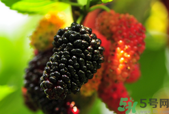 1460458019656336.png Image 002.png