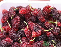 1460511160239570.png Image 002.png