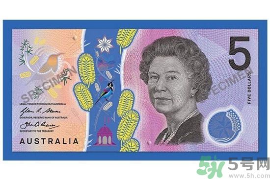 新版5澳元為什么被吐槽？新版5澳元是多少錢？