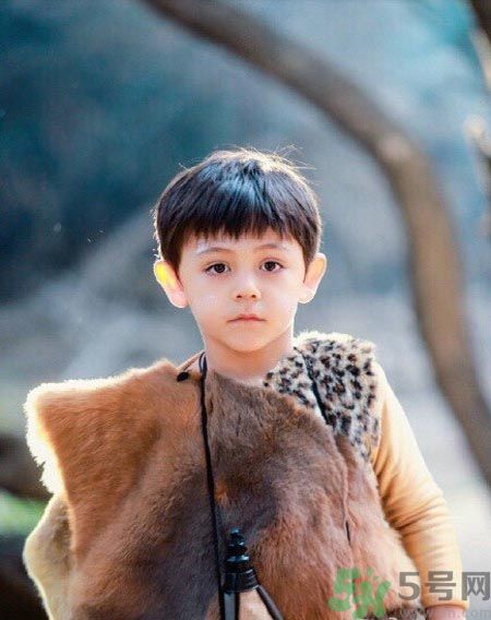 諾一雪梨是誰？為什么叫諾一雪梨？