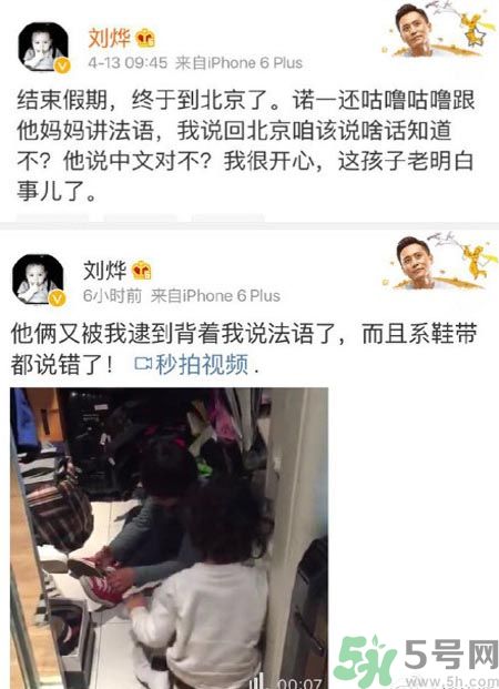 諾一雪梨是誰？為什么叫諾一雪梨？