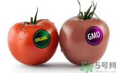 農(nóng)業(yè)部怎樣回應(yīng)轉(zhuǎn)基因食品？轉(zhuǎn)基因的食物有哪些？