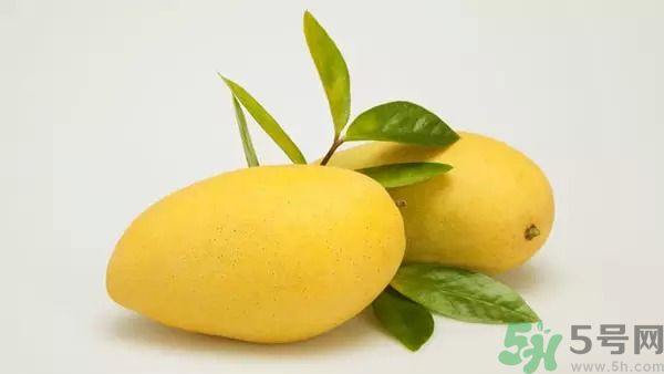 吃芒果能減肥嗎？吃芒果減肥可以嗎？