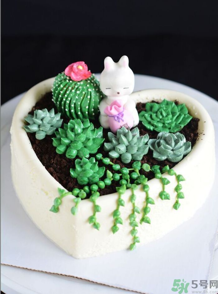 什么是多肉蛋糕？多肉蛋糕怎么做？