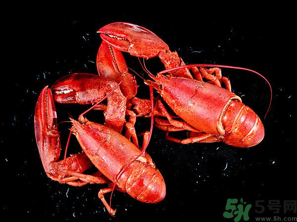 油燜大蝦為什么肉散了？油燜大蝦怎么做肉不散？