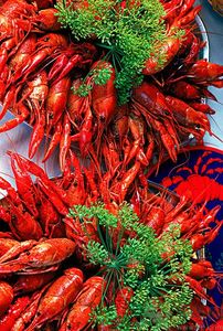 油燜大蝦用的是什么蝦？油燜大蝦用什么蝦最好？